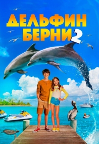 Дельфин Берни 2